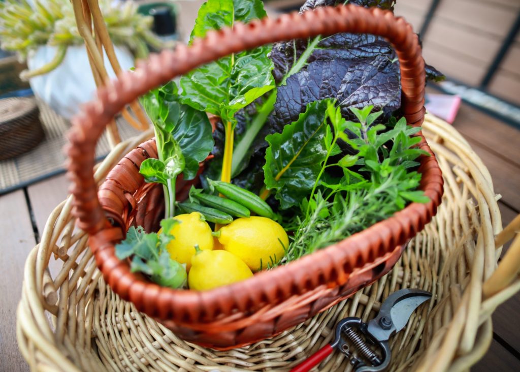 Organic fruit and vegetable garden